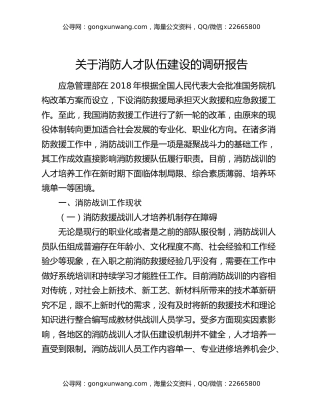关于消防人才队伍建设的调研报告