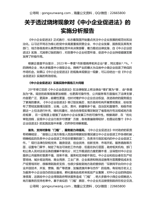 关于透过烧烤现象对《中小企业促进法》的实施分析报告