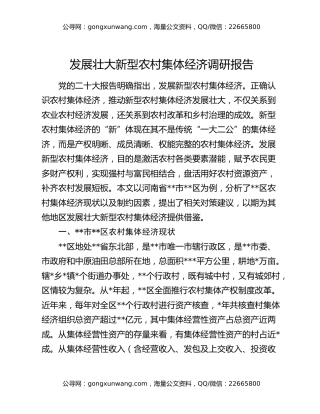 发展壮大新型农村集体经济调研报告