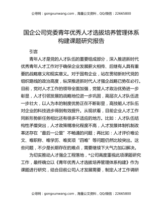 国企公司党委青年优秀人才选拔培养管理体系构建课题研究报告