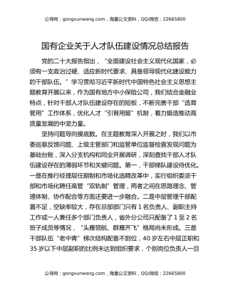 国有企业关于人才队伍建设情况总结报告