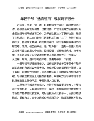 年轻干部“选育管用”现状调研报告