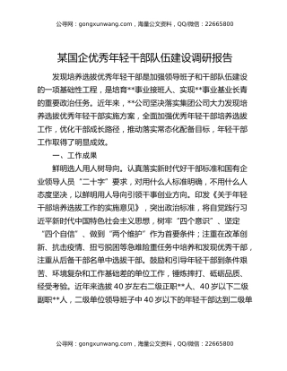 某国企优秀年轻干部队伍建设调研报告