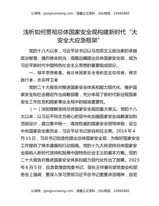 浅析如何贯彻总体国家安全观 构建新时代“大安全大应急框架”