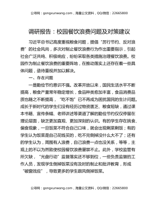 调研报告：校园餐饮浪费问题及对策建议