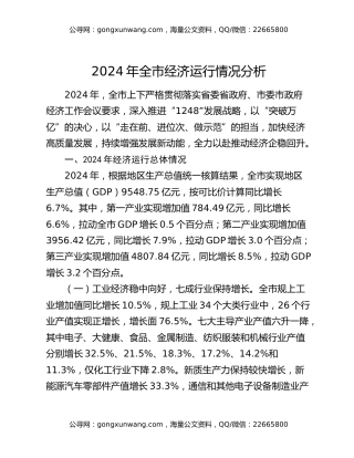 2024年全市经济运行情况分析