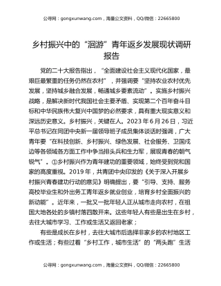 乡村振兴中的“洄游”青年返乡发展现状调研报告