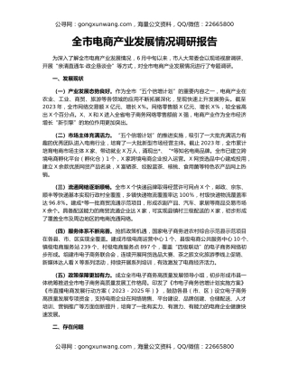 全市电商产业发展情况调研报告