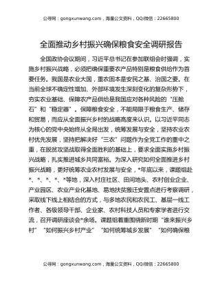 全面推动乡村振兴确保粮食安全调研报告