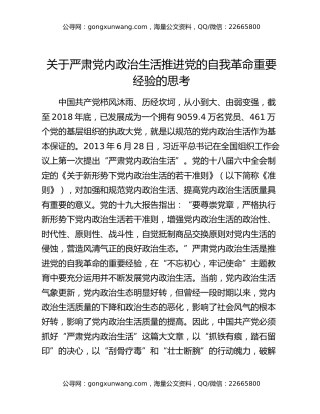 关于严肃党内政治生活推进党的自我革命重要经验的思考