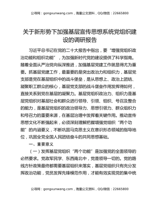 关于新形势下加强基层宣传思想系统党组织建设的调研报告