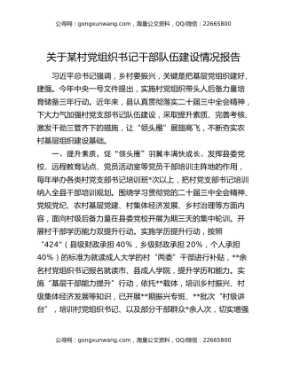 关于某村党组织书记干部队伍建设情况报告