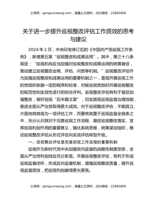 关于进一步提升巡视整改评估工作质效的思考与建议