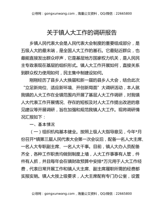 关于镇人大工作的调研报告