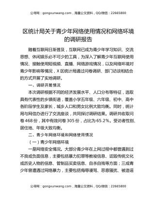 区统计局关于青少年网络使用情况和网络环境的调研报告