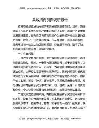 县域招商引资调研报告