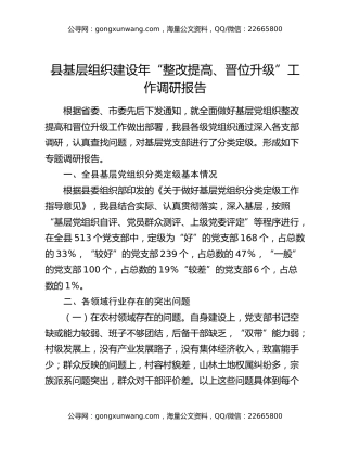 县基层组织建设年“整改提高、晋位升级”工作调研报告