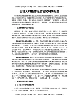 县壮大村集体经济情况调研报告