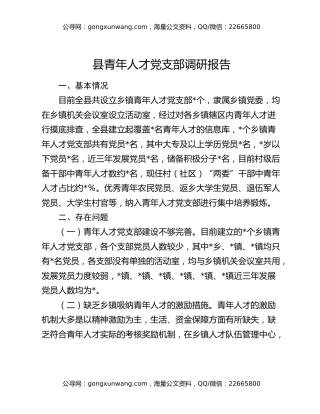 县青年人才党支部调研报告