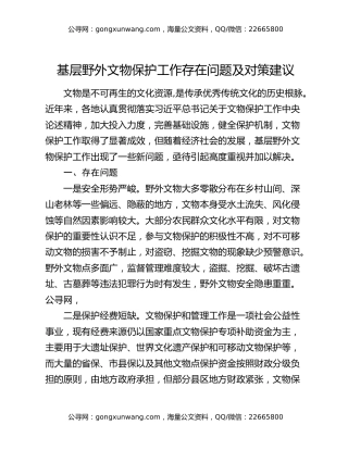 基层野外文物保护工作存在问题及对策建议