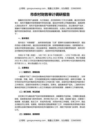 市农村财务审计调研报告