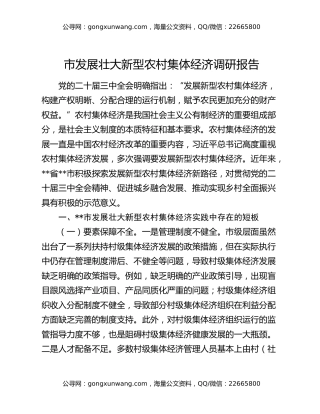市发展壮大新型农村集体经济调研报告