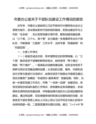 市委办公室关于干部队伍建设工作情况的报告