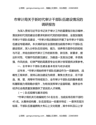市审计局关于新时代审计干部队伍建设情况的调研报告