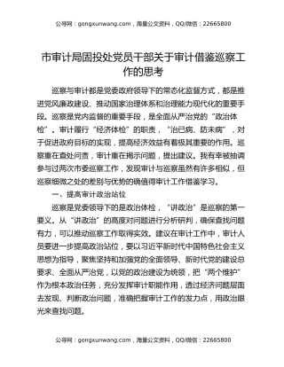 市审计局固投处党员干部关于审计借鉴巡察工作的思考