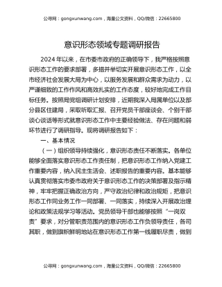 意识形态领域专题调研报告