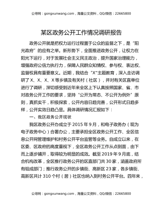 某区政务公开工作情况调研报告