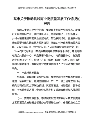 某市关于推动县域商业高质量发展工作情况的报告
