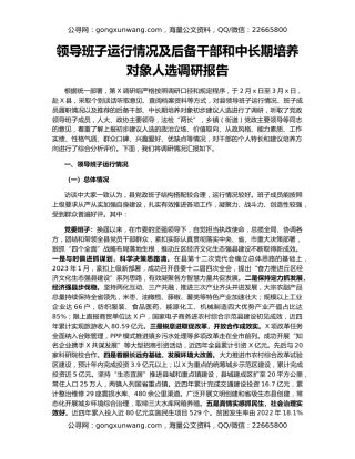 领导班子运行情况及后备干部和中长期培养对象人选调研报告