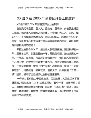 XX县X在20XX年新春团拜会上的致辞