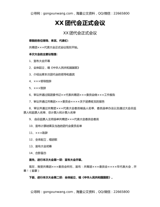 XX团代会正式会议