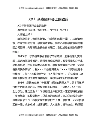 XX年新春团拜会上的致辞