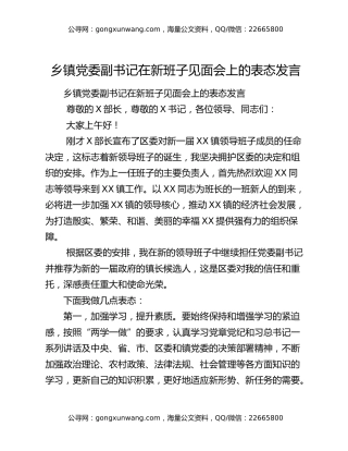 乡镇党委副书记在新班子见面会上的表态发言
