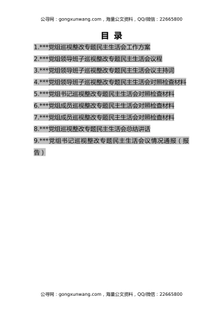 党组巡视整改民主生活会全套材料