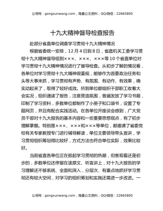 十九大精神督导检查报告
