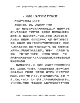 在巡视工作反馈会上的发言
