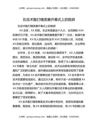 在武术散打精英赛开幕式上的致辞