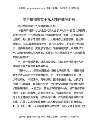 学习贯彻落实十九大精神情况汇报