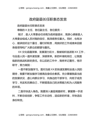 政府副县长任职表态发言