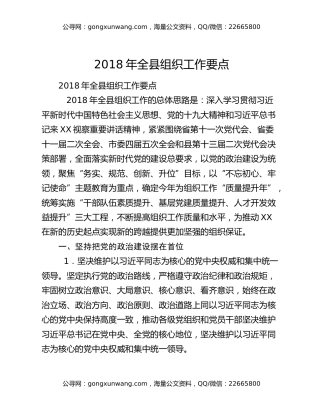 2 0 1 8年全县组织工作要点