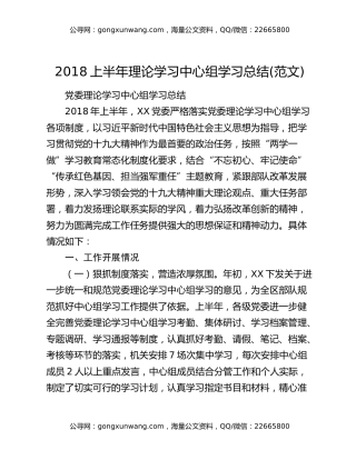 2018上半年理论学习中心组学习总结(范文)