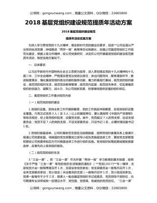 2018基层党组织建设规范提质年活动方案