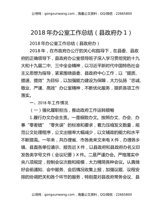 2018年办公室工作总结（县政府办1）