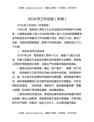 2018年工作总结（环保）
