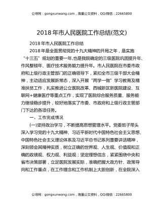 2018年市人民医院工作总结(范文)