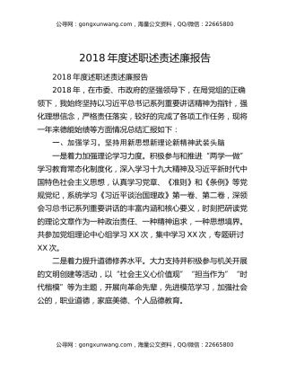 2018年度述职述责述廉报告